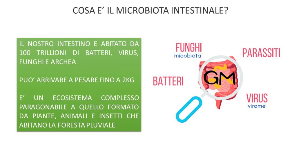 Microbiota